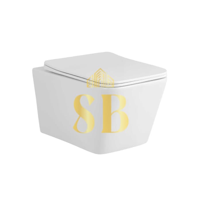 Wall-hung white toilet bowl