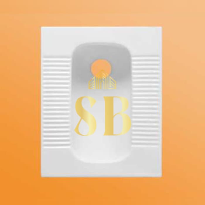 White ceramic squat toilet