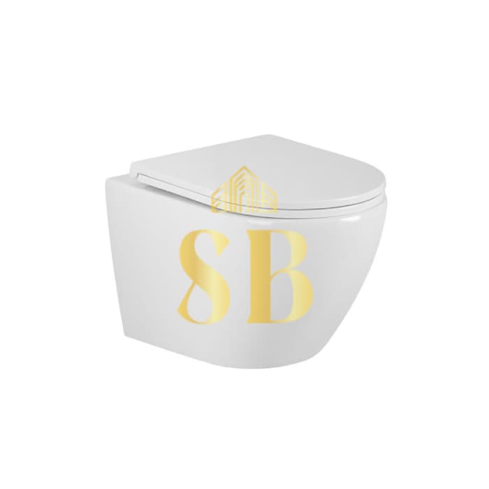 Wall-hung white toilet bowl